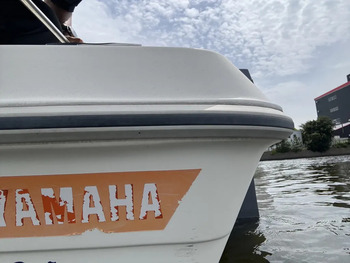 thumb_093346-yamaha-sunfriend-19