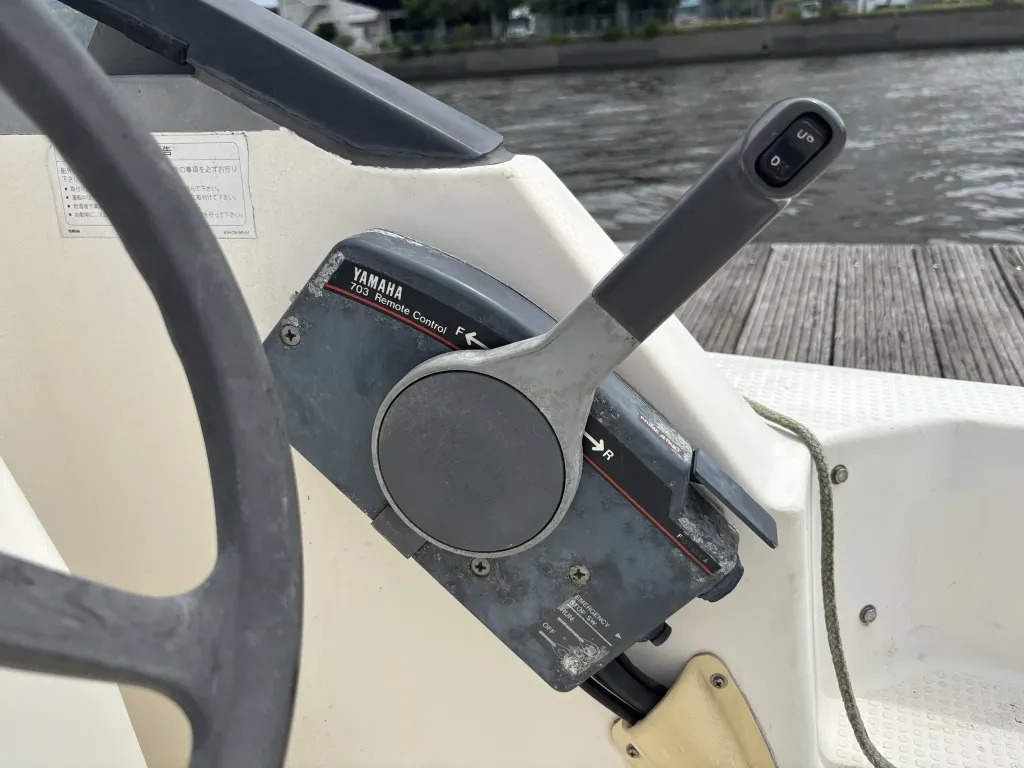 banner_093346-yamaha-sunfriend-19