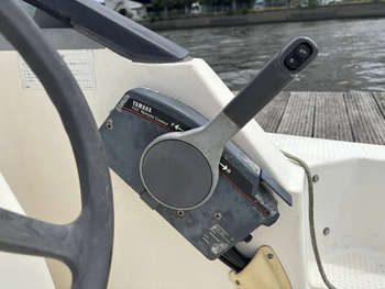 thumb_093346-yamaha-sunfriend-19