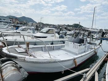 thumb_093407-yanmar-de28dz