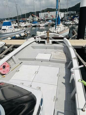 thumb_093407-yanmar-de28dz
