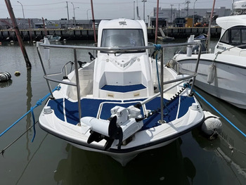 thumb_093461-yamaha-sr-x-ex