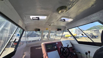 thumb_093484-yanmar-ex32z