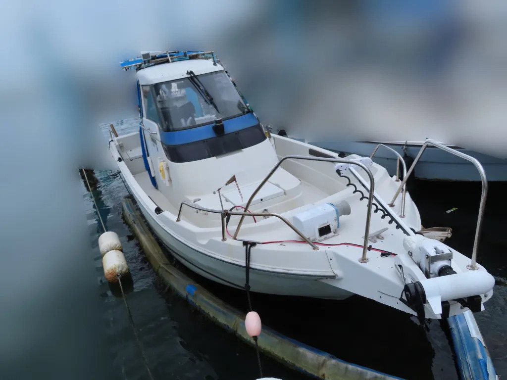banner_093481-yanmar-fx24z