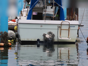 thumb_093481-yanmar-fx24z