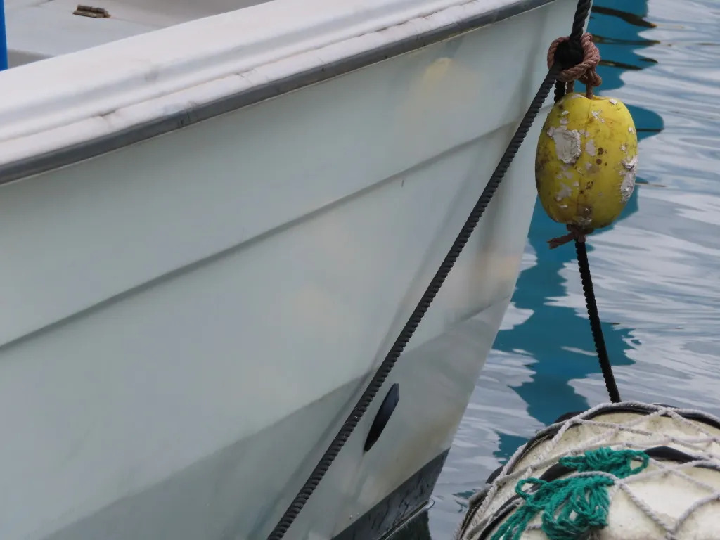 banner_093481-yanmar-fx24z