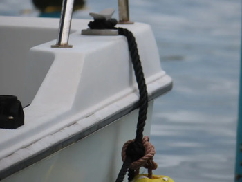 thumb_093481-yanmar-fx24z