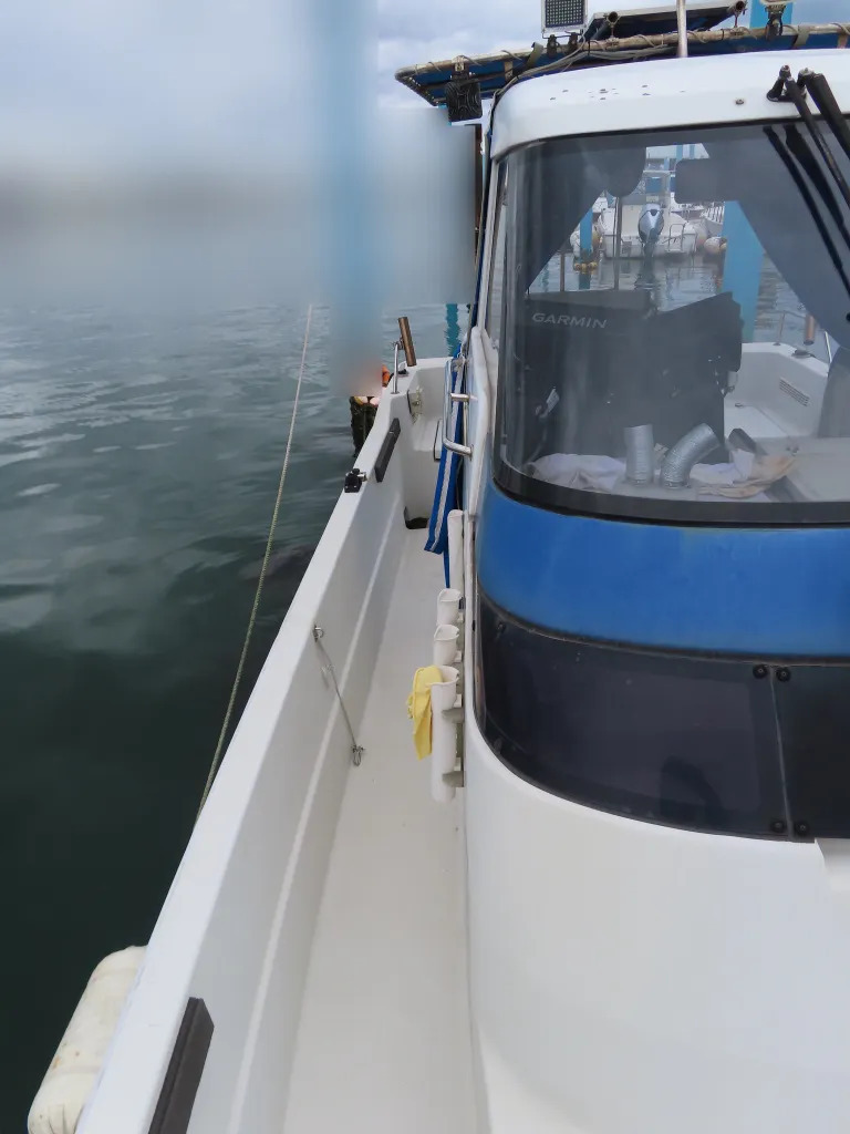 banner_093481-yanmar-fx24z