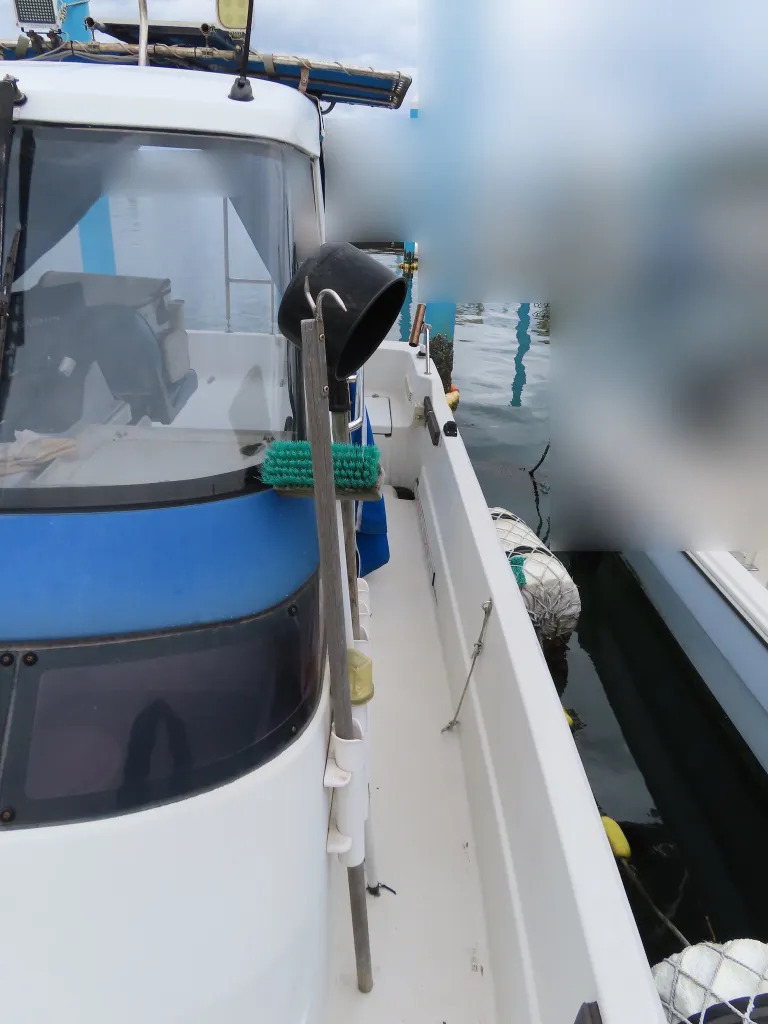 banner_093481-yanmar-fx24z