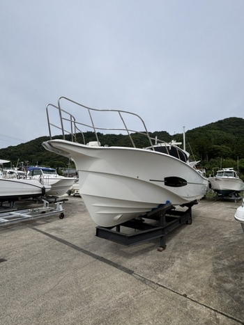 thumb_093499-yanmar-ex34a