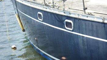 thumb_093505-piewiet-1200