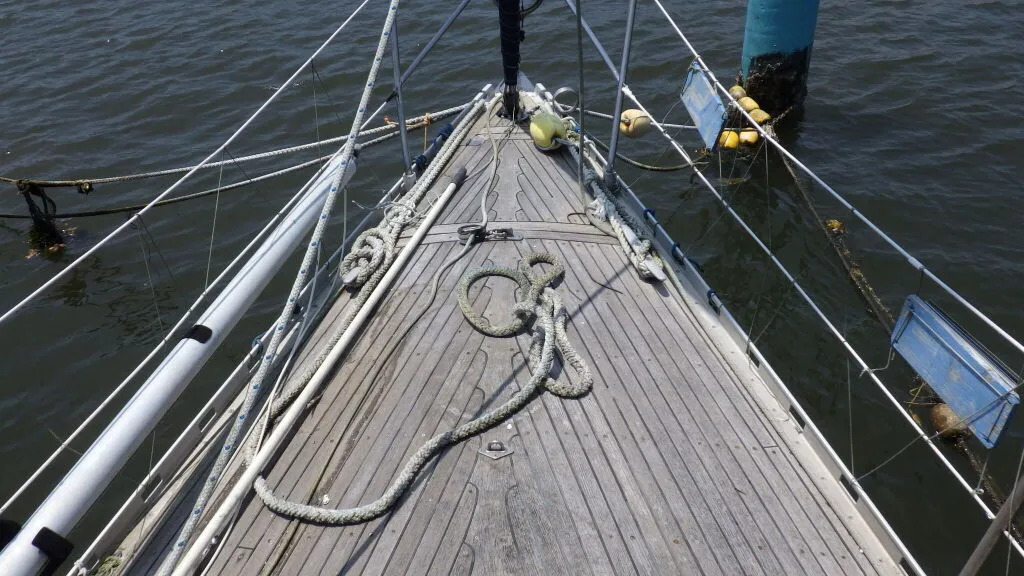 banner_093505-piewiet-1200