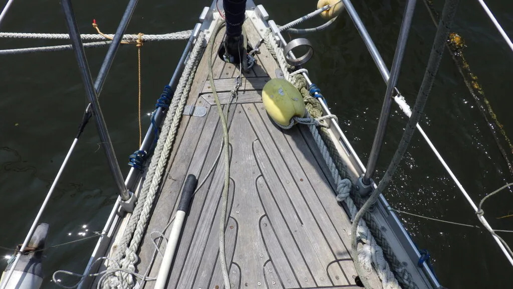 banner_093505-piewiet-1200