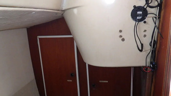 thumb_093505-piewiet-1200