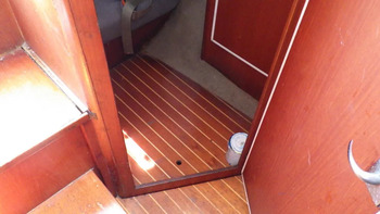 thumb_093505-piewiet-1200