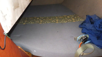 thumb_093505-piewiet-1200
