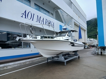 thumb_093535-yamaha-f-a-s-t-26
