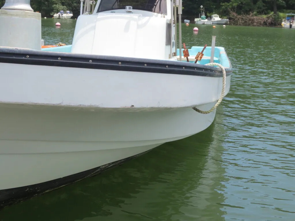 banner_093561-yamaha-w-25