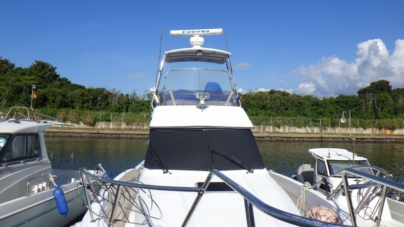 banner_088304-yamaha-sf-31