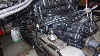 thumb_088304-yamaha-sf-31