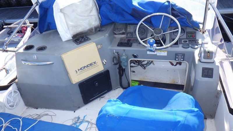banner_088304-yamaha-sf-31