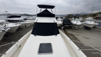 thumb_085990-yamaha-sf-31