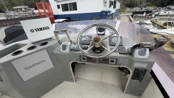 thumb_085990-yamaha-sf-31
