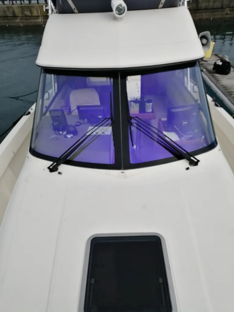banner_064571-yamaha-sf-31