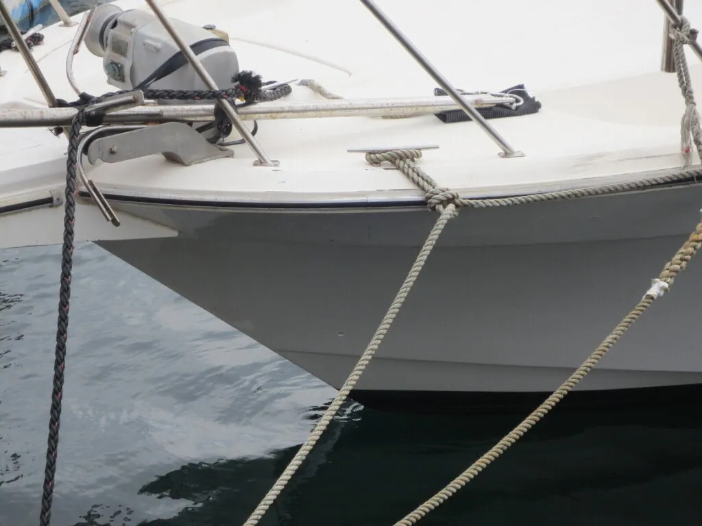 banner_083645-yamaha-sf-31