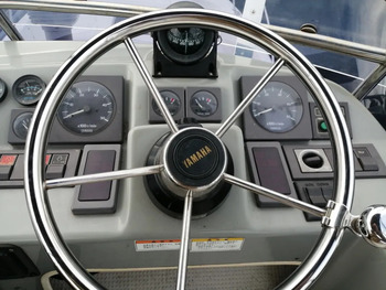 thumb_064571-yamaha-sf-31