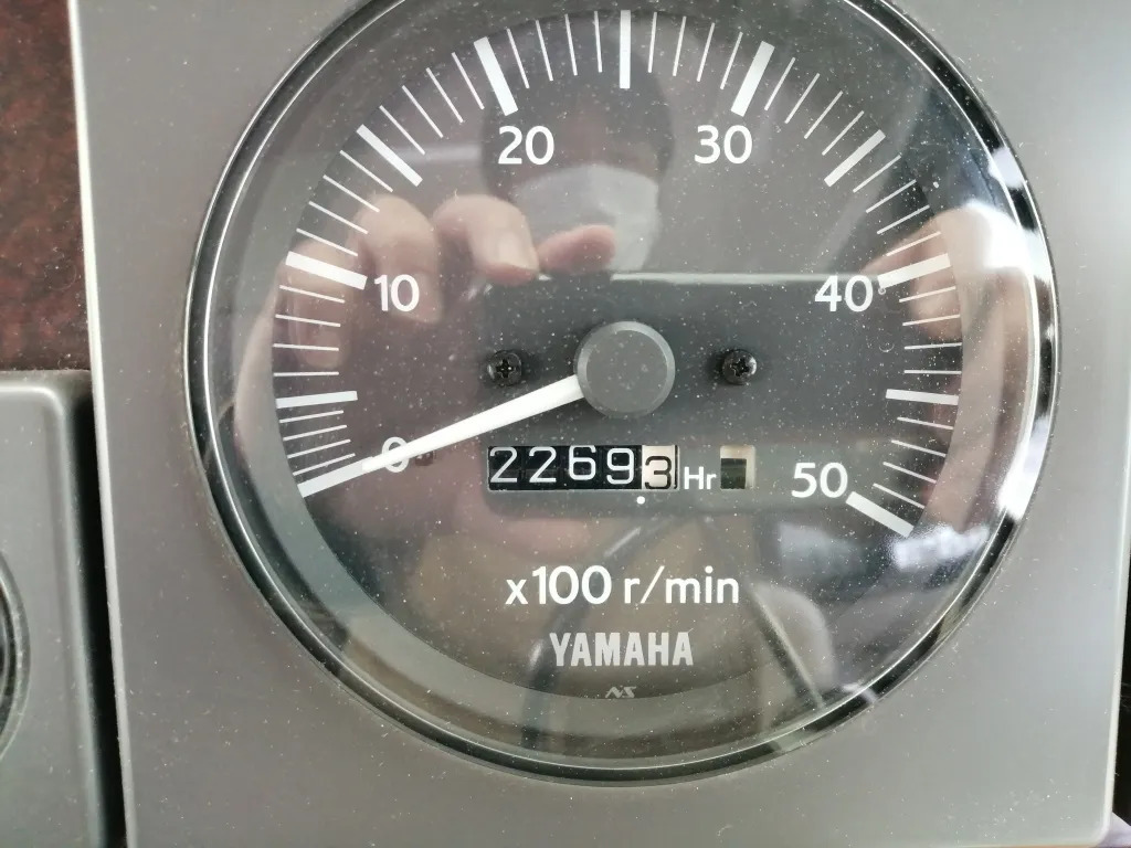 banner_064571-yamaha-sf-31