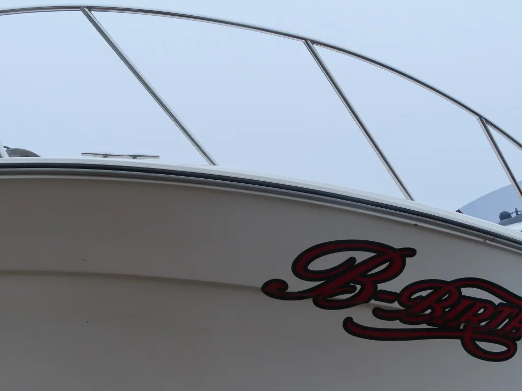 banner_089193-yamaha-sf-31