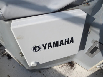 thumb_083645-yamaha-sf-31