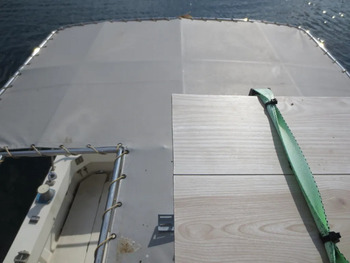 thumb_083645-yamaha-sf-31