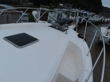 thumb_089193-yamaha-sf-31