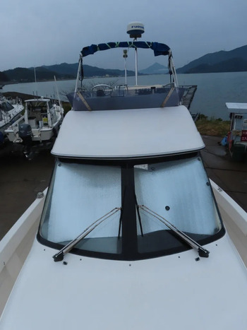 thumb_089193-yamaha-sf-31
