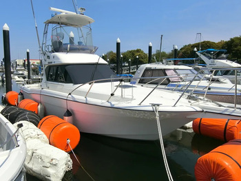 thumb_086499-yamaha-sf-31