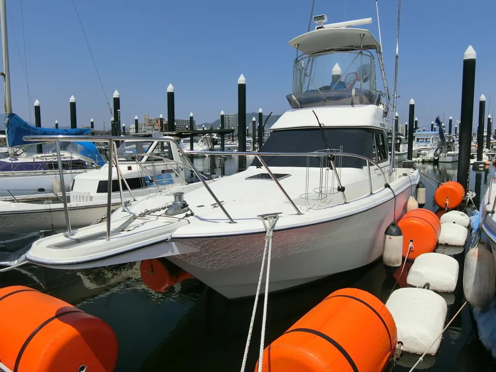 banner_086499-yamaha-sf-31