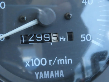 thumb_089193-yamaha-sf-31