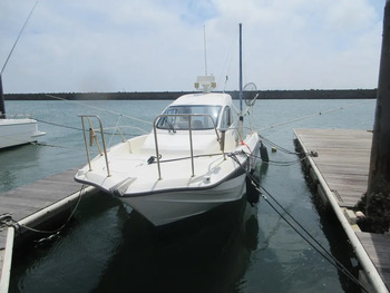 thumb_093647-yamaha-yfr-24ex