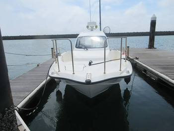 thumb_093647-yamaha-yfr-24ex