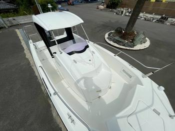 thumb_093662-yamaha-sr-x