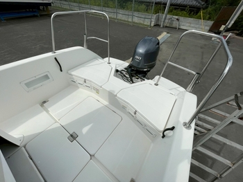 thumb_093662-yamaha-sr-x