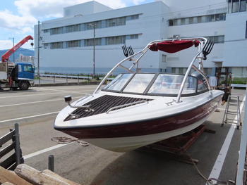 thumb_093699-yamaha-ag-21