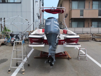 thumb_093699-yamaha-ag-21
