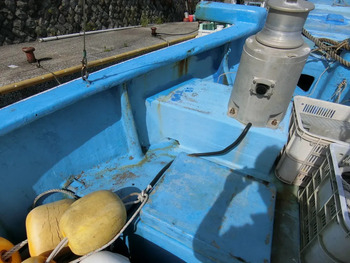 thumb_093718-mitsugi-shipyard-fishing-vessel
