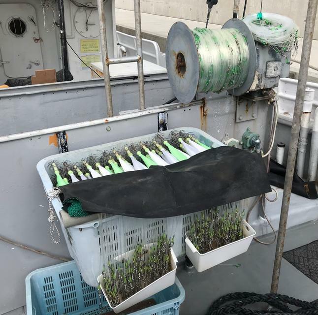 banner_093734-bazume-shipyard-fishing-vessel