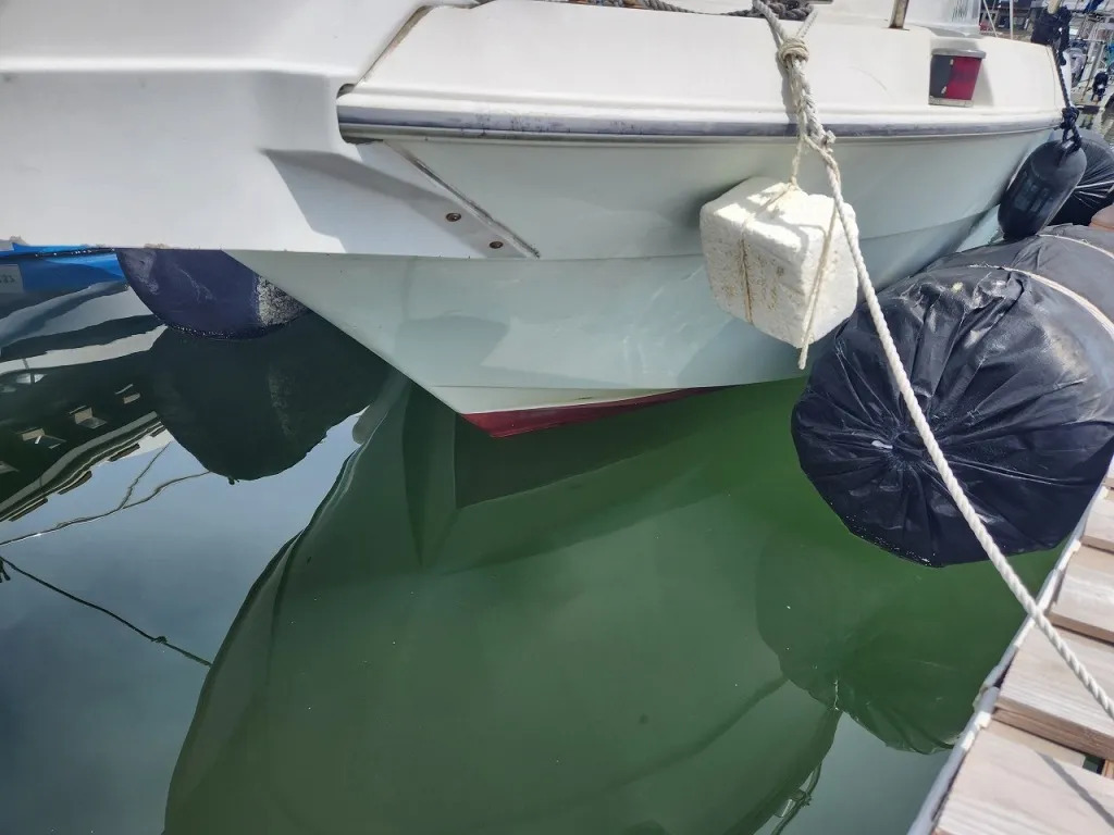 banner_093738-yanmar-ef25