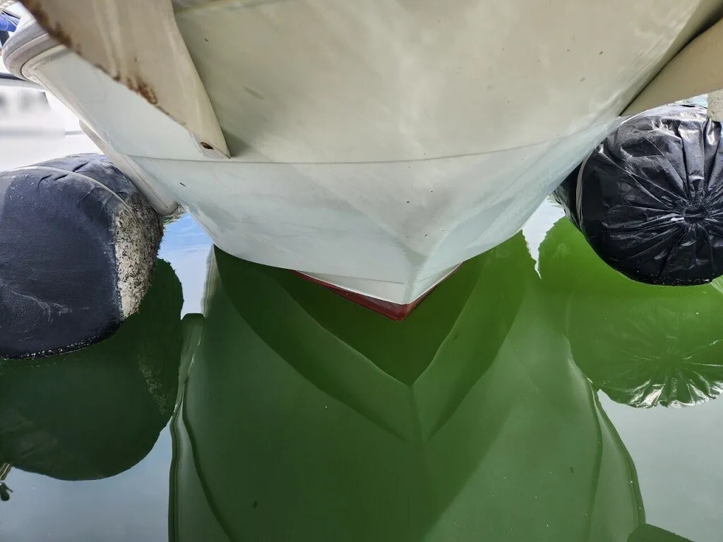 banner_093738-yanmar-ef25