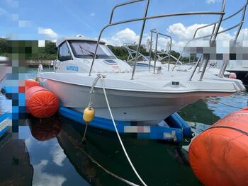 thumb_093758-yanmar-fx24ez